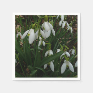 Snowdrops I (Galanthus) Weiße Frühlingsblumen Serviette
