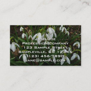 Snowdrops I (Galanthus) Weiße Frühlingsblumen Visitenkarte
