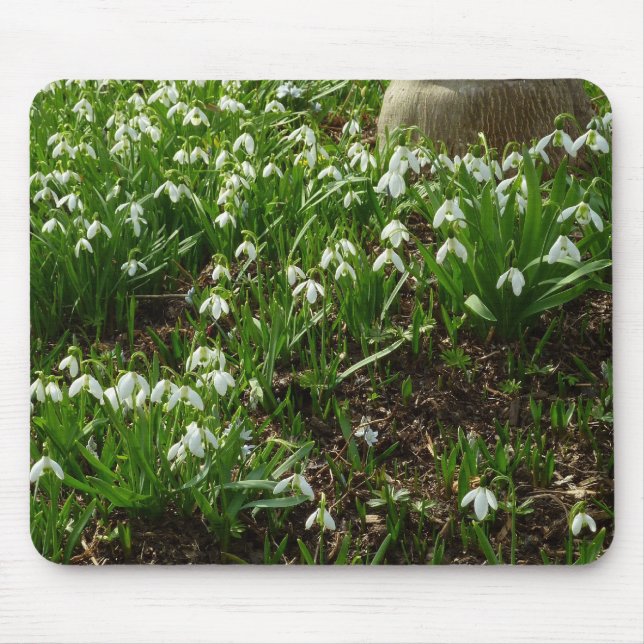Snowdrops II (Galanthus) Frühlingsflora Mousepad (Vorne)