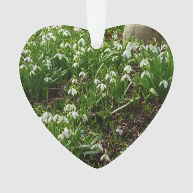 Snowdrops II (Galanthus) Frühlingsflora Ornament (Vorderseite)