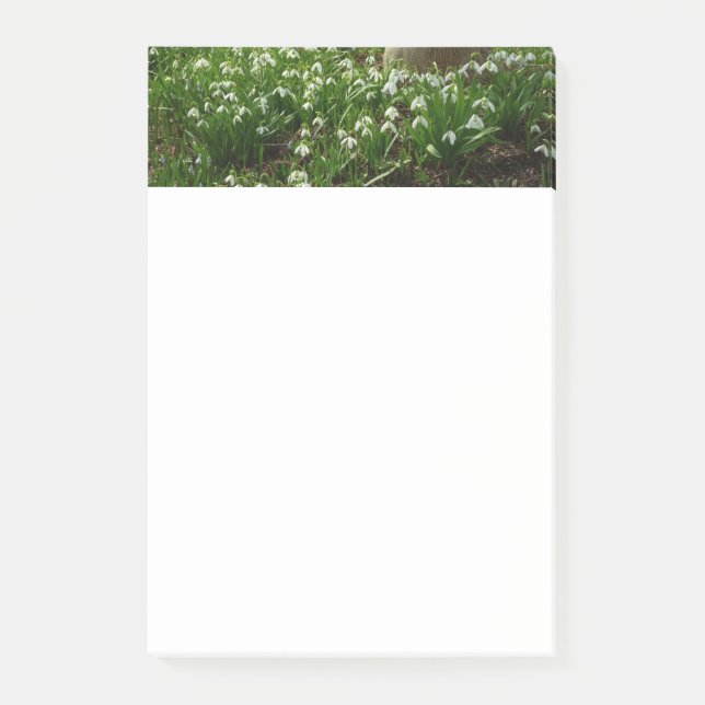 Snowdrops II (Galanthus) Frühlingsflora Post-it Klebezettel (Vorderseite)