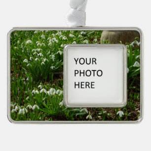 Snowdrops II (Galanthus) Frühlingsflora Rahmen-Ornament Silber
