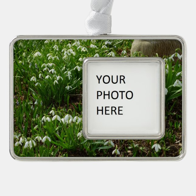 Snowdrops II (Galanthus) Frühlingsflora Rahmen-Ornament Silber (Vorderseite)