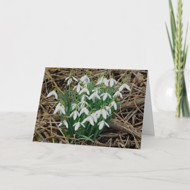 Snowdrops Karte (Vorderseite)
