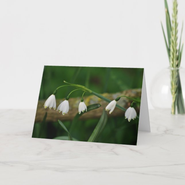 Snowdrops Karte (Vorderseite)