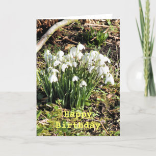 SNOWDROPS KARTE