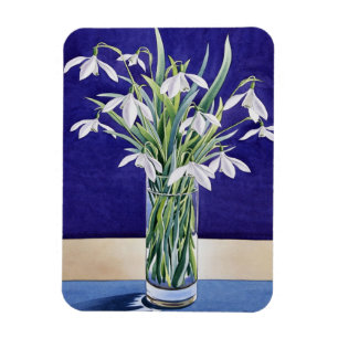 Snowdrops Magnet