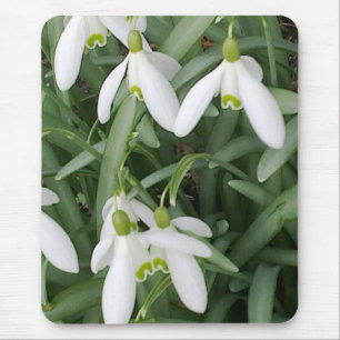 Snowdrops Mousepad