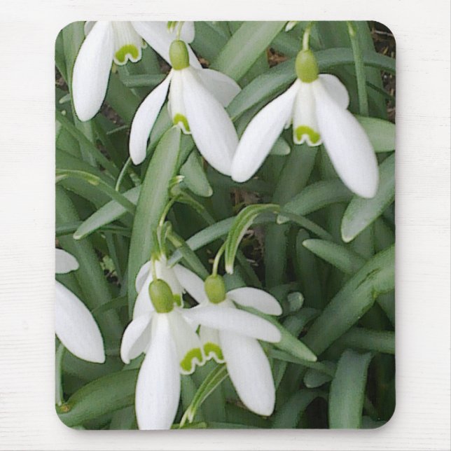 Snowdrops Mousepad (Vorne)
