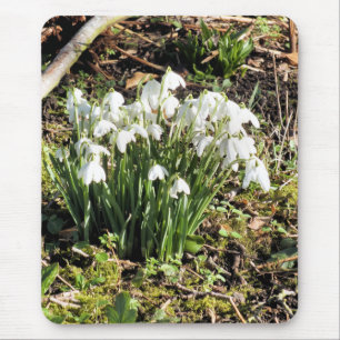SNOWDROPS MOUSEPAD