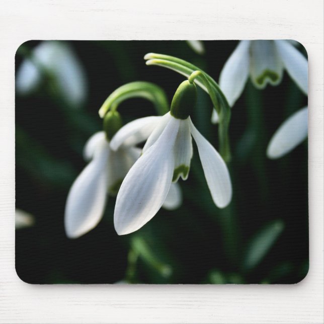 Snowdrops Mousepad (Vorne)