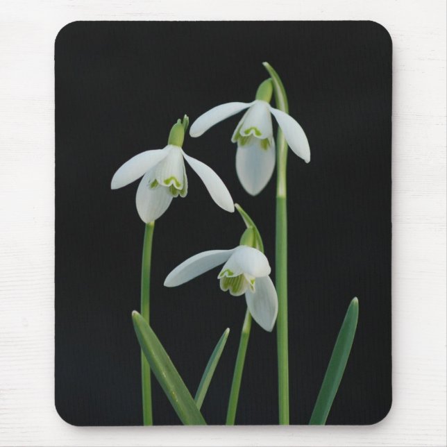 Snowdrops mousepad (Vorne)