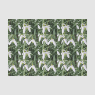 Snowdrops Seidenpapier