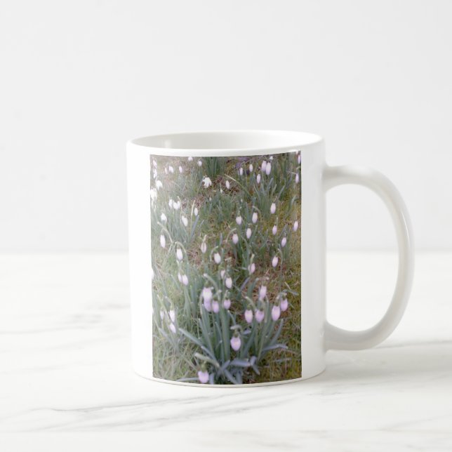 Snowdrops Tasse (Rechts)