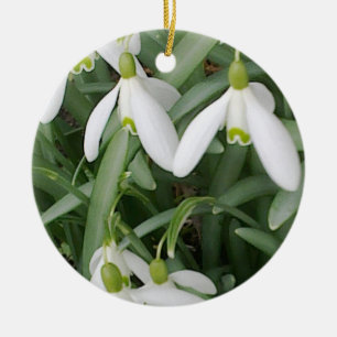 Snowdrops Verzierung Keramik Ornament