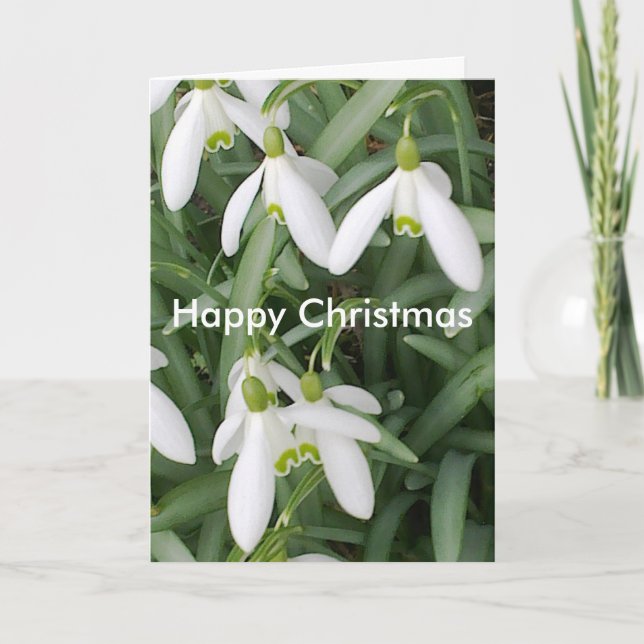 Snowdrops Weihnachtskarte Feiertagskarte (Vorderseite)