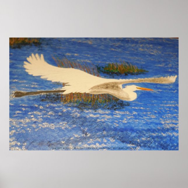 Snowey-White-Kreuzchen Poster (Vorne)