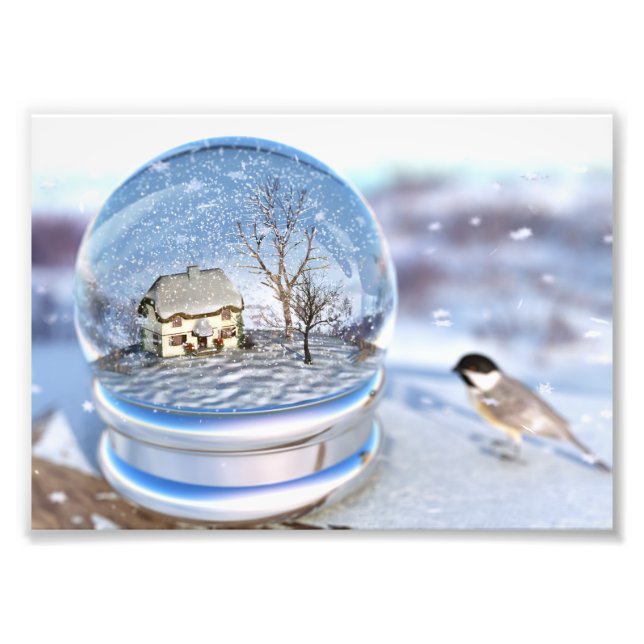 Snowflake Globe Foto Print (Vorne)