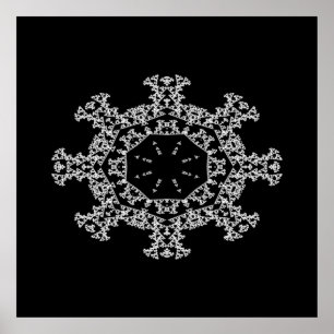 Snowflake...... Poster