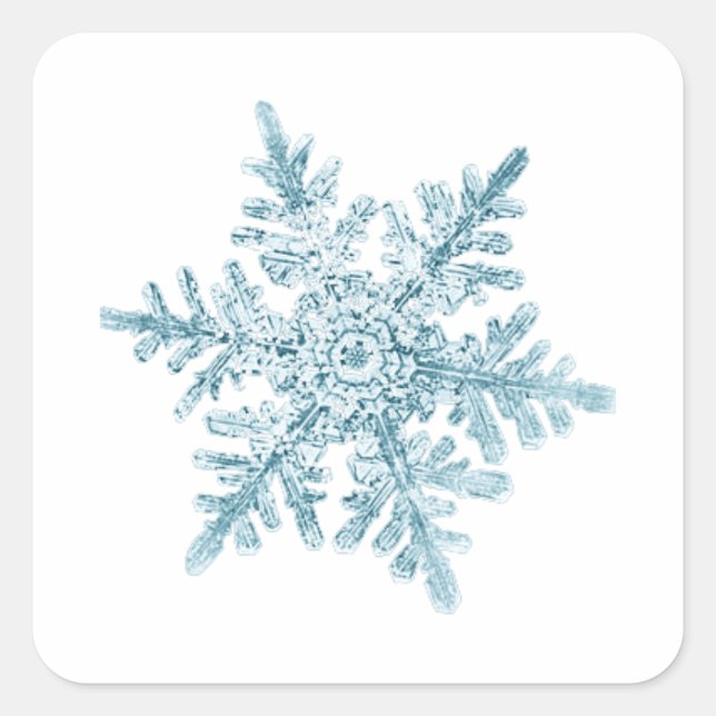 Snowflake Stickers (Vorderseite)