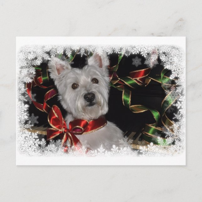 Snowflake Westie Postkarte (Vorderseite)