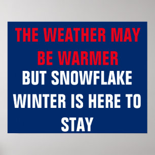 Snowflake Winter ist hier Residenz Persist Protest Poster