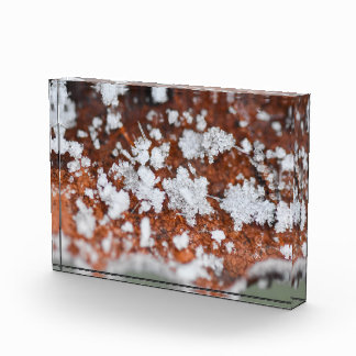 Snowflakes  fotoblock