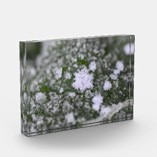 Snowflakes  fotoblock