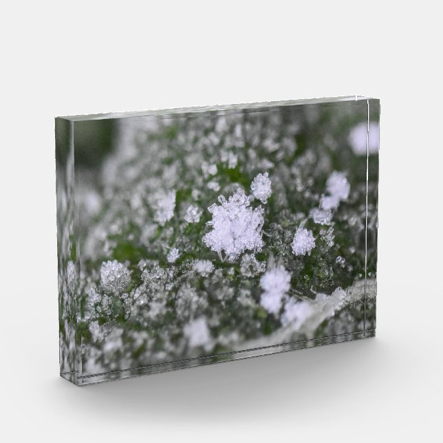 Snowflakes  fotoblock (Links)