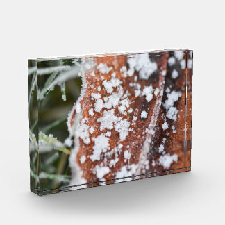 Snowflakes  fotoblock