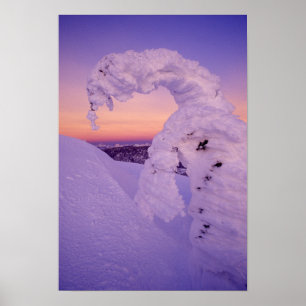 Snowghost in der Whitefish Range bei Twilight Poster