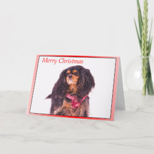 Snowing Cavalier King Charles Spaniel Weihnachten