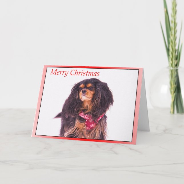 Snowing Cavalier King Charles Spaniel Weihnachten (Vorderseite)