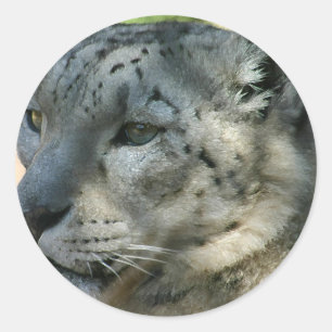 Snowleopard Runder Aufkleber
