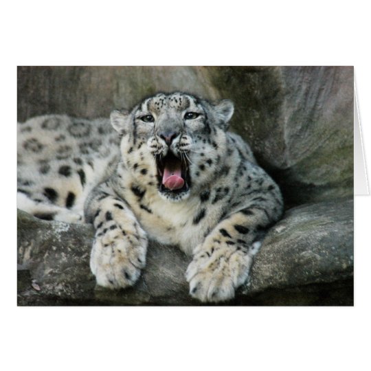 SnowLeopardBCR007 Karte