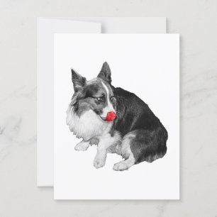 Snowmail: Schneller Lick Hallo Postkarte