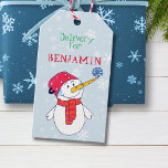 Snowman Delivery Christmas Tag für Kinder Geschenkanhänger<br><div class="desc">Niedlicher Schneemann Weihnachtsgeschenk Tag für Kinder. Personalisieren Sie das Tag mit Ihrem Text und Kindernamen. Der Anhänger hat einen Schneemann mit einer Schneeflocke auf der Nase - in der Hoffnung auf Schnee. Die Rückseite ist hellblau mit schönen weißen Schneeflocken in verschiedenen Größen und Formen. Machen Sie Ihre Weihnachtsgeschenke für Kinder...</div>