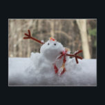 Snowman Versage Postkarte<br><div class="desc">I grew up in California and then lived in Texas. At the age of 40 I moved to New York I had experced snow before, Ziel Neffer like this! I had to try my hand at making a snowman. I was attempting to put his "carrot" (candy corn) nose in when...</div>