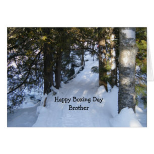 Snowmobile Trail