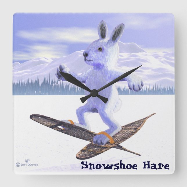 Snowshoe-Hasen Quadratische Wanduhr (Vorderseite)