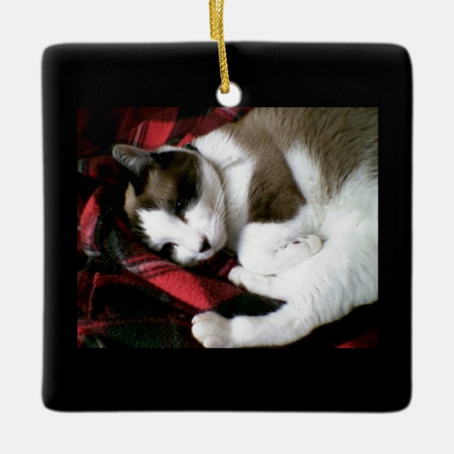 Snowshoe Tartan-Miezekatze Keramikornament (Vorderseite)