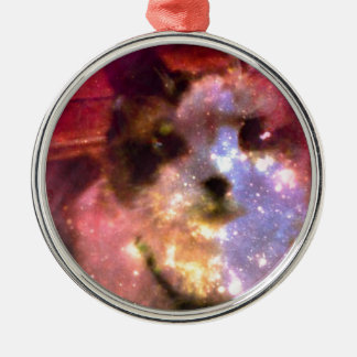 Snowshoeaurora borealis Miezekatze Silbernes Ornament