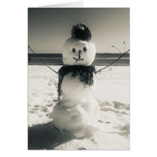 snowshore