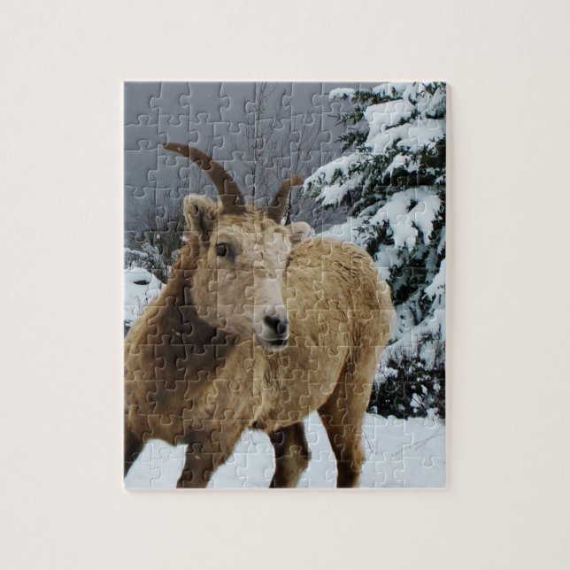 Snowy Animal 8x10 Foto Puzzle (Vertikal)
