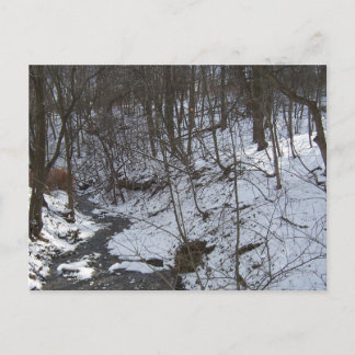 Snowy Bach Postkarte