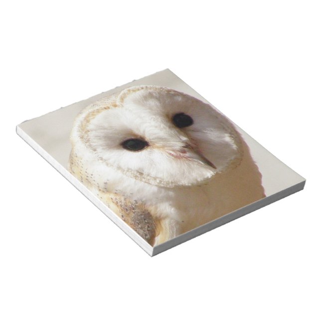Snowy Barn Owl Notepad Notizblock (angewinkelt)
