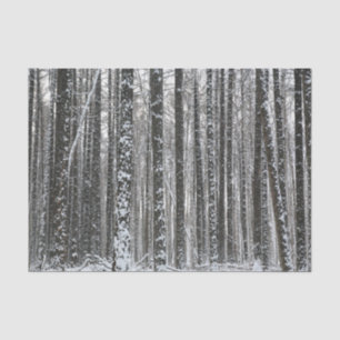 Snowy-Baum-Stämme Seidenpapier