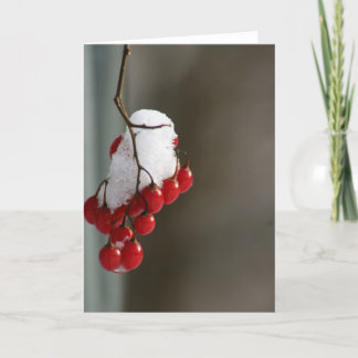 Snowy-Beeren Karte