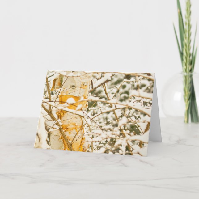 Snowy Birch Feiertagskarte (Vorderseite)
