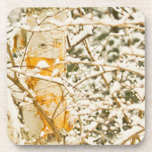 Snowy Birch Untersetzer
